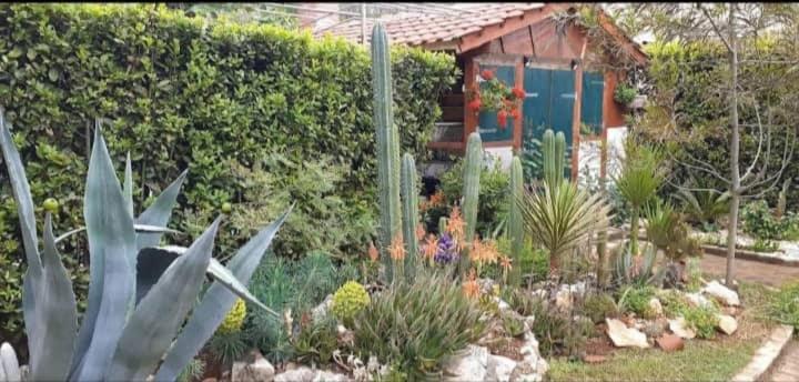 Cactus House Gaspar Zadar Exterior photo
